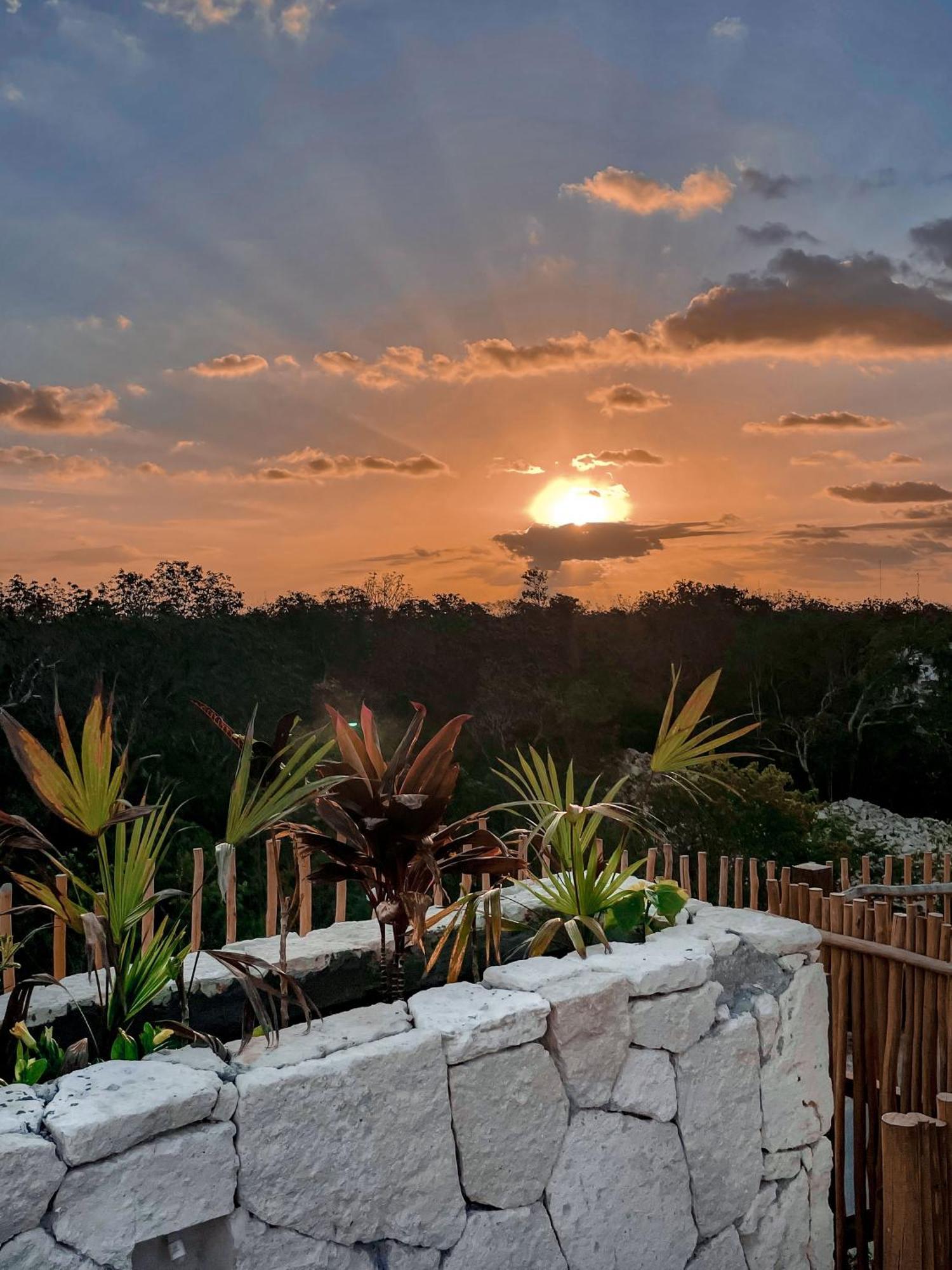 Jungle Boho Designer Apart 11 W50 Off Access Hotel Bardo Tulum Eksteriør billede